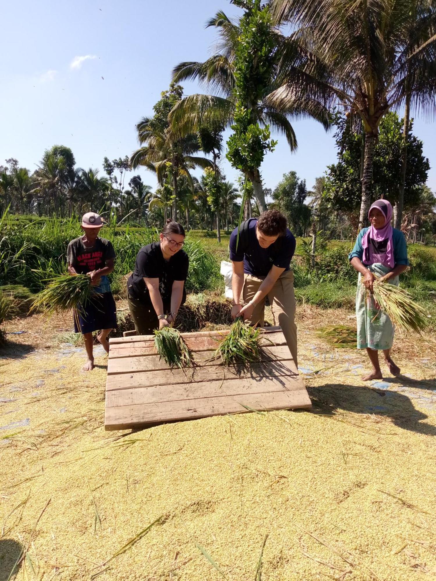 Syaqila Homestay Lombok Тетебату Екстериор снимка
