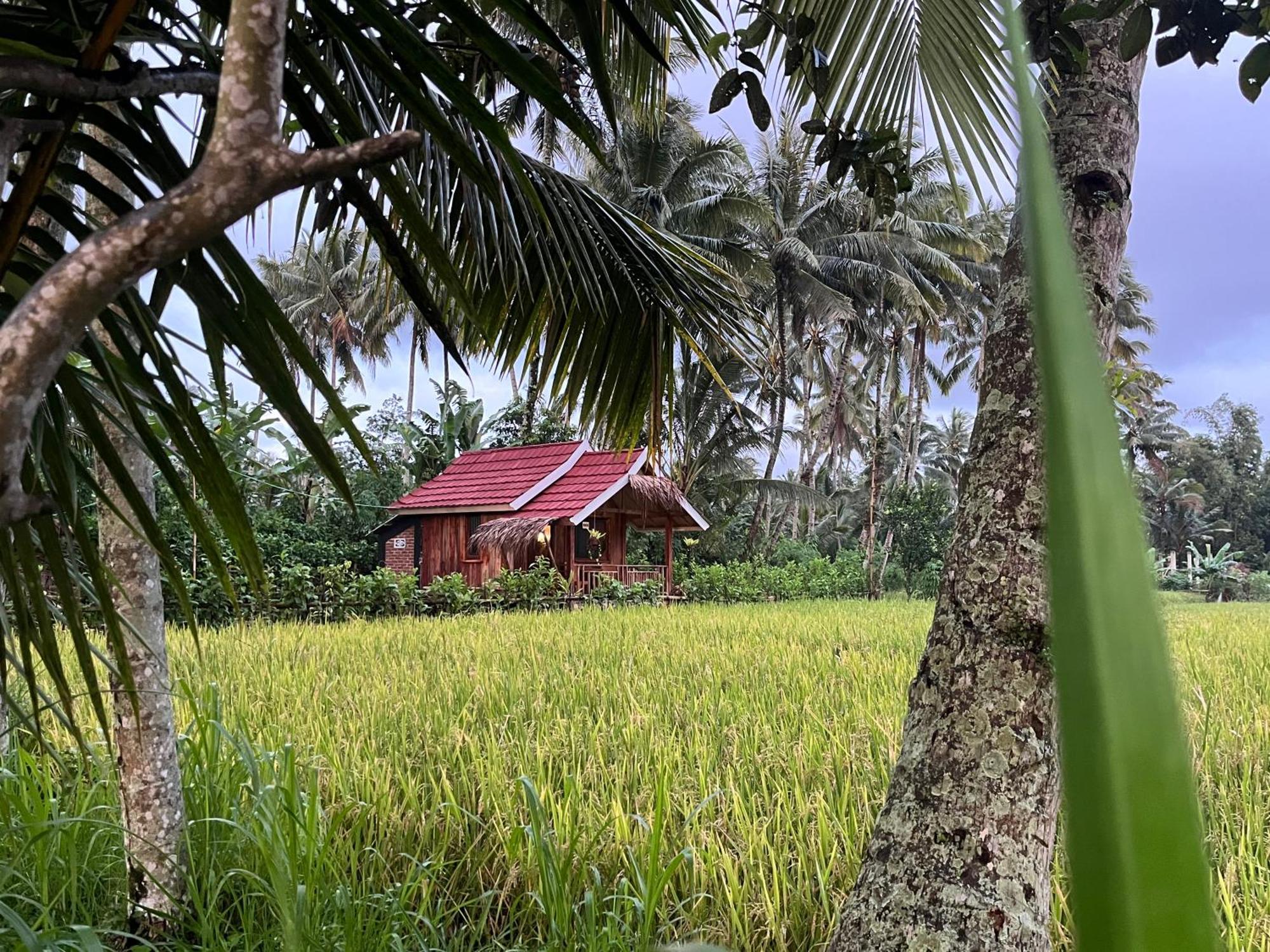 Syaqila Homestay Lombok Тетебату Екстериор снимка