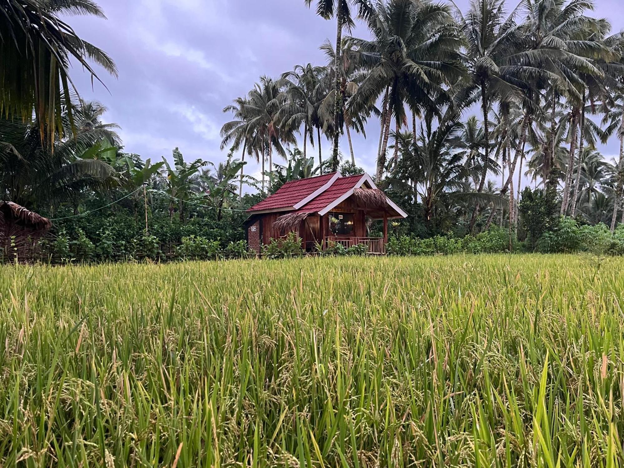Syaqila Homestay Lombok Тетебату Екстериор снимка
